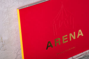 ARENA - Dariusz Szubiński - obrazek 7